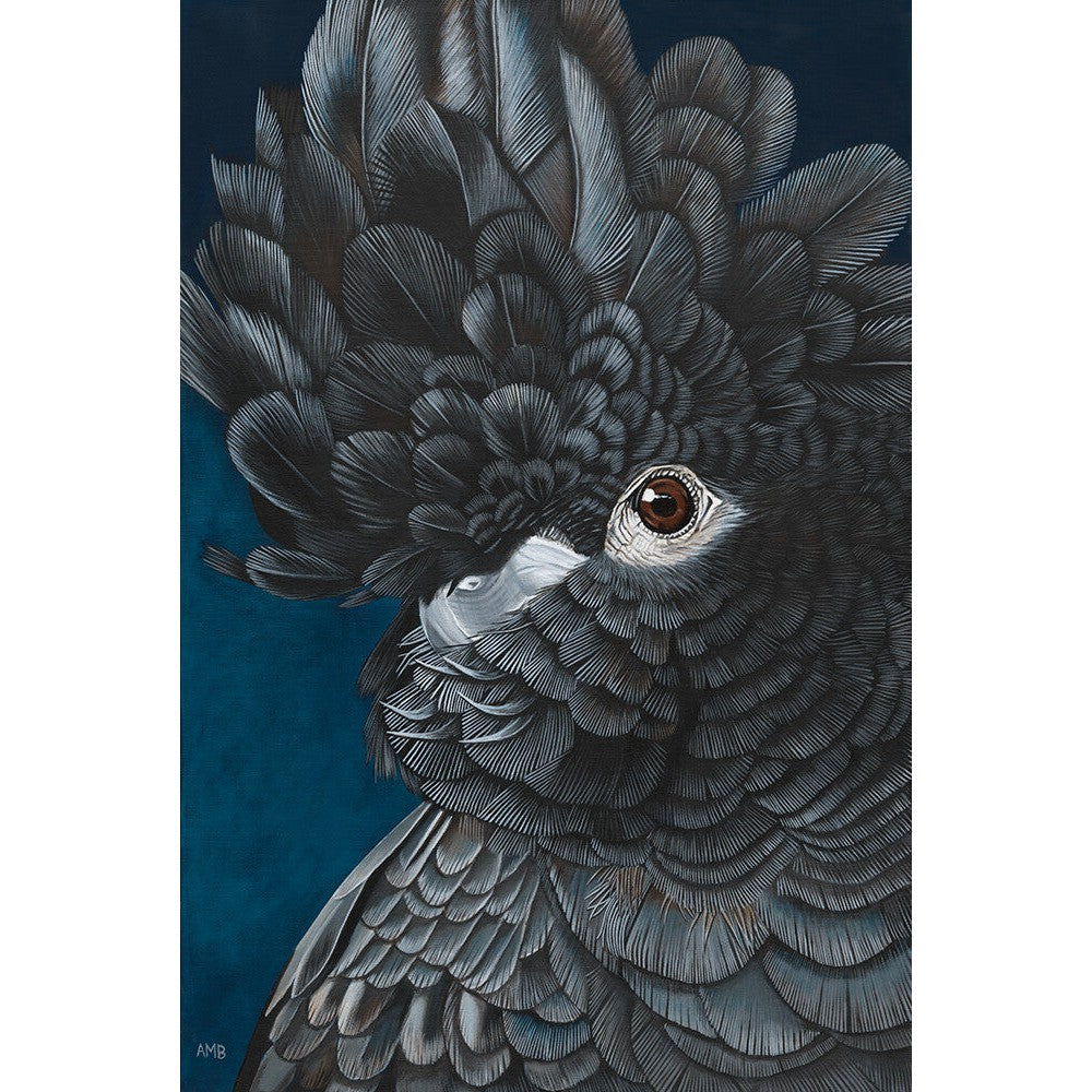Anne-Marie Bloor Derek - Black Red Tailed Cockatoo Fine Art Print