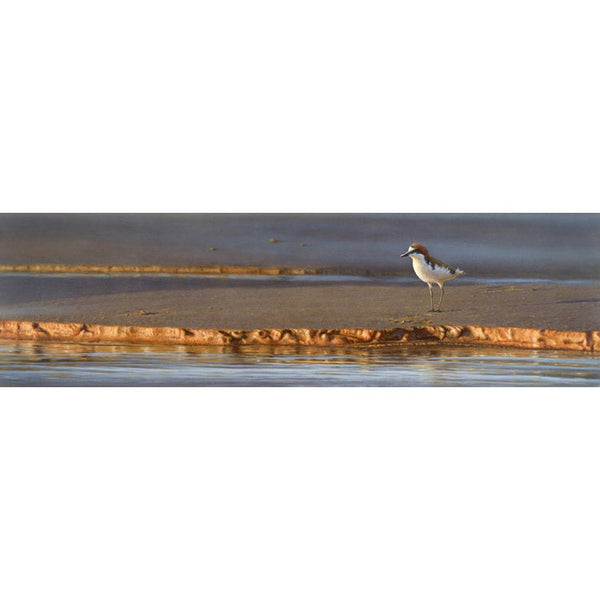 Slipstream Fine Art Print Creative Edge Art Collective