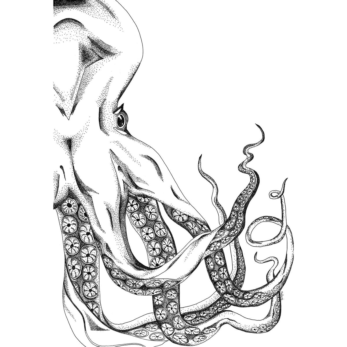 The Octopus - Fine Art Print