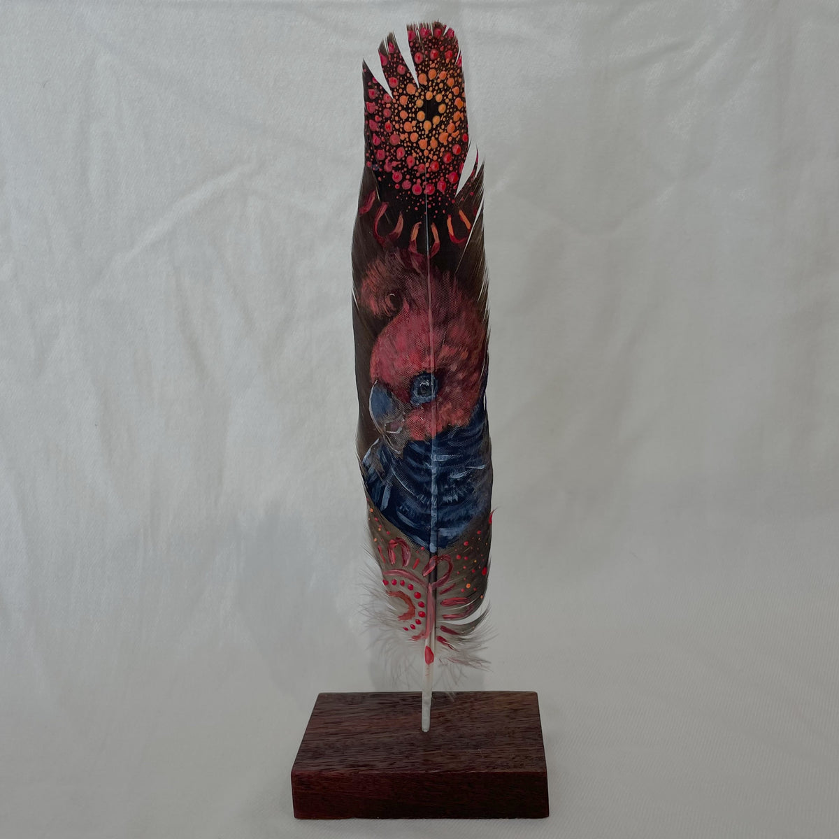 Cockatoo Feather (Gang-gang Cockatoo)