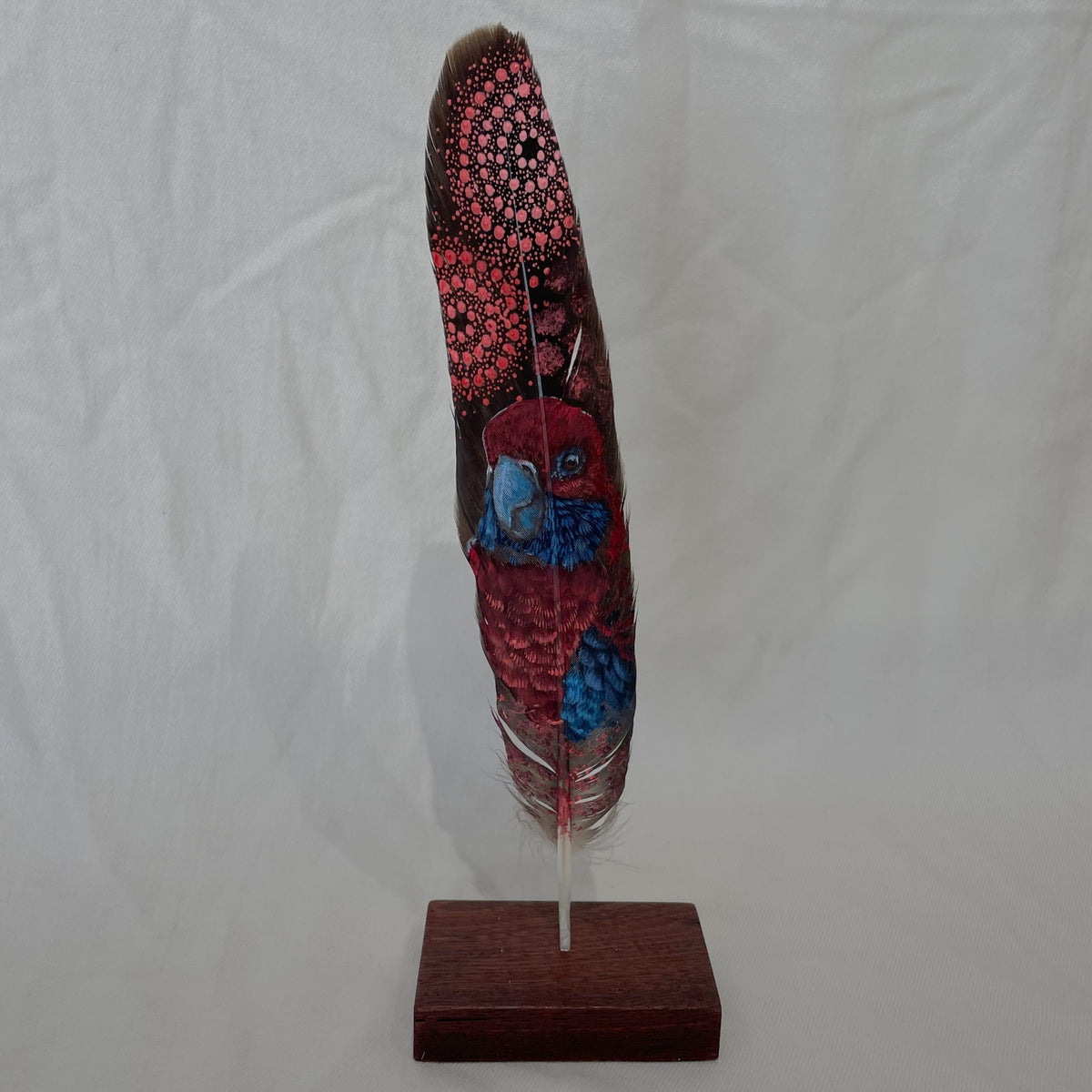 Cockatoo Feather (Crimson Rosella)