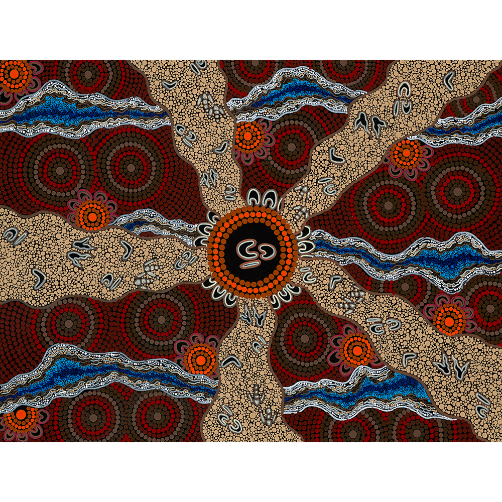 Life Lines of Shark Bay - Fine Art Print