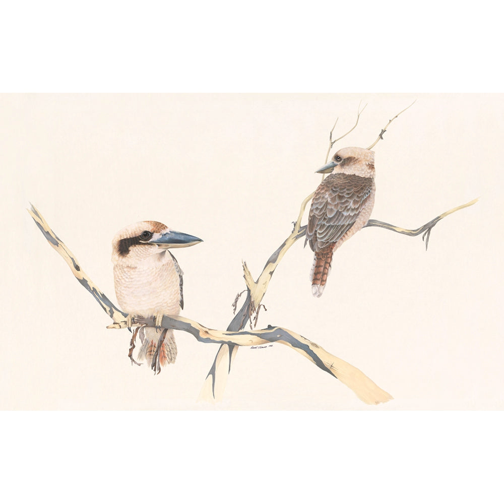 Kookaburras - Fine Art Print
