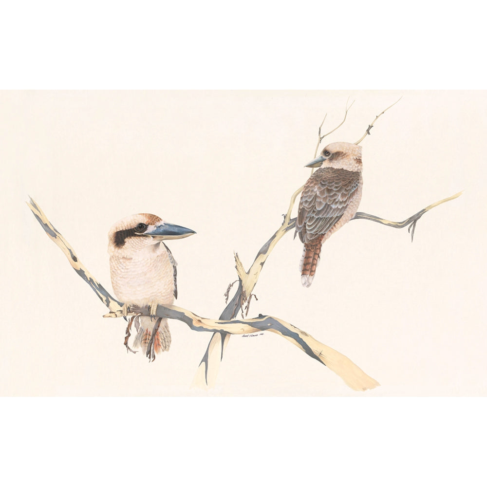 Kookaburras