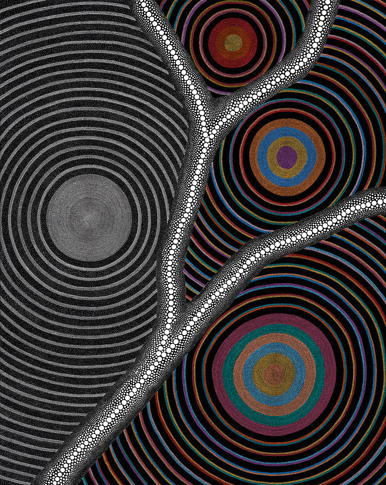 Abstract fractal artwork featuring concentric circular patterns in multiple colors across the top and a grayscale spiral design in the lower half, divided by a branching white dotted line.