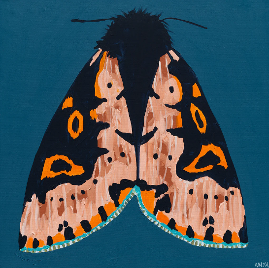 Moth #37 - Paper Print