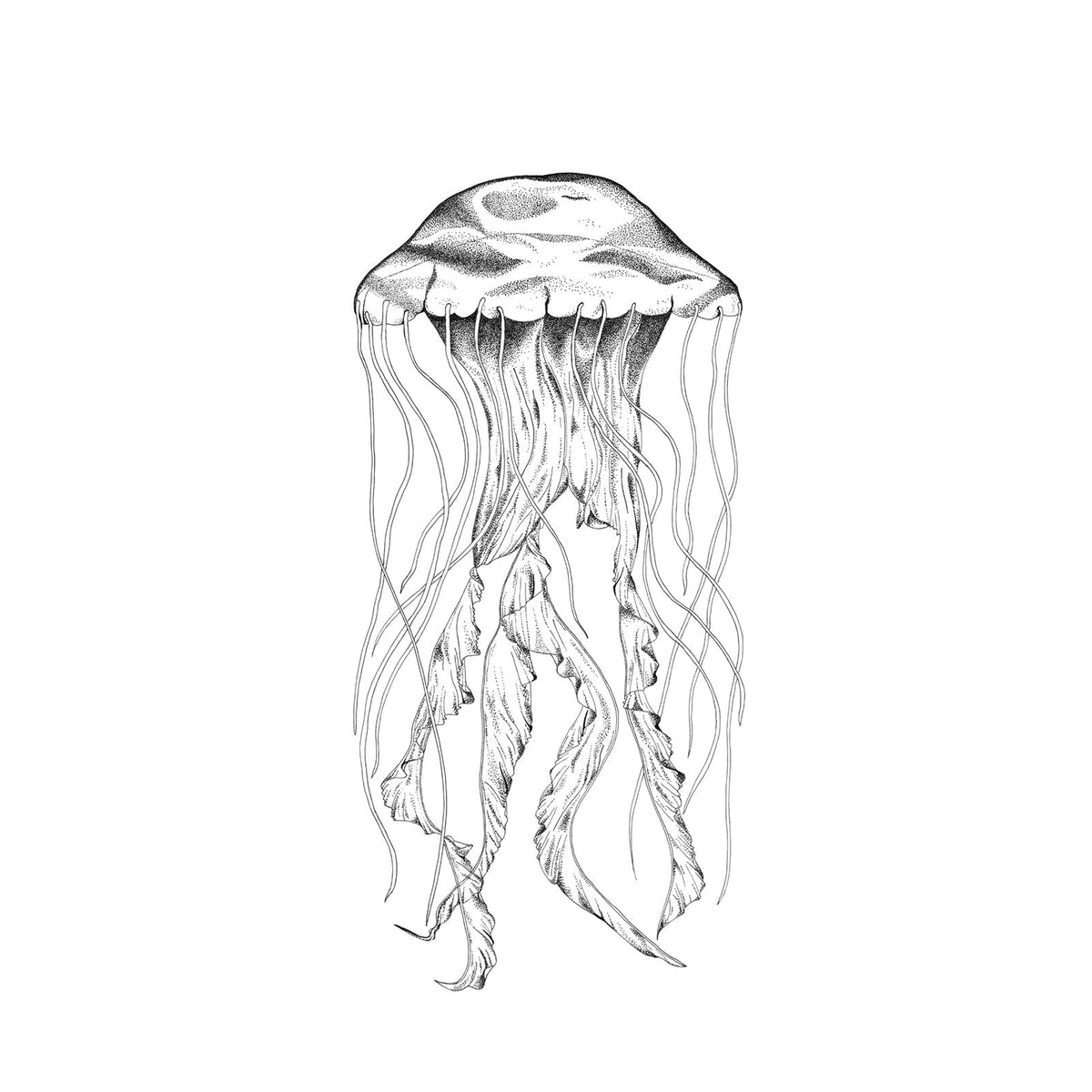 The Jellyfish - Fine Art Print