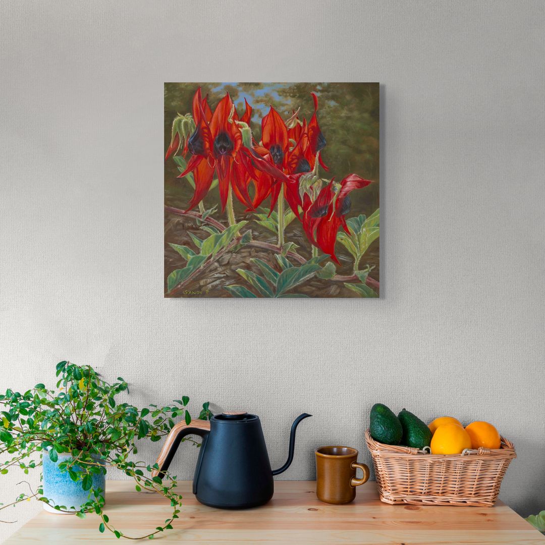 Desert Pea