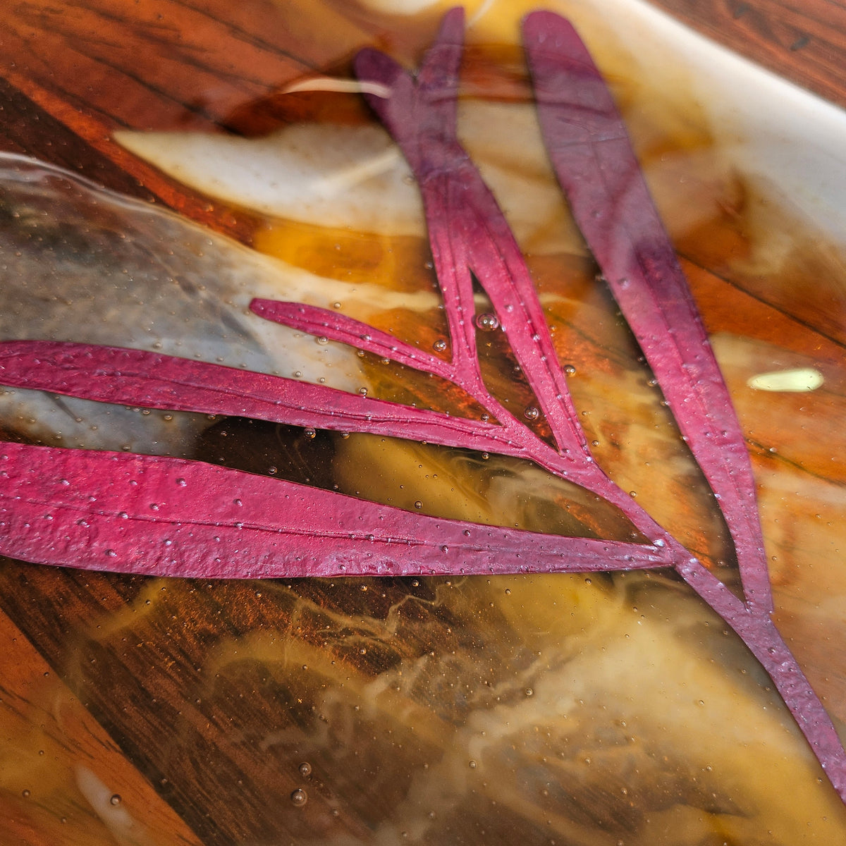 Eucalypt Amber
