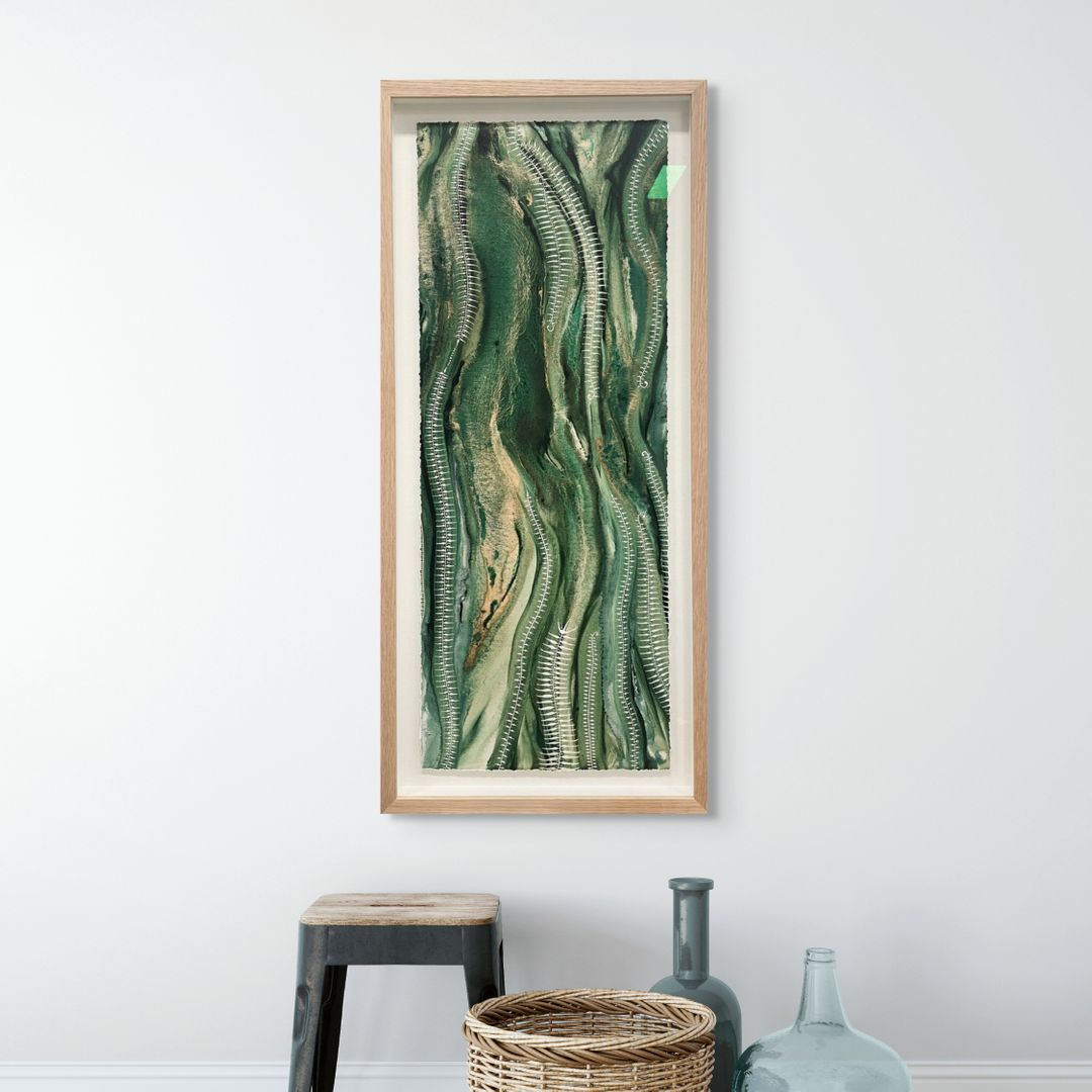 Rainforest Dreaming