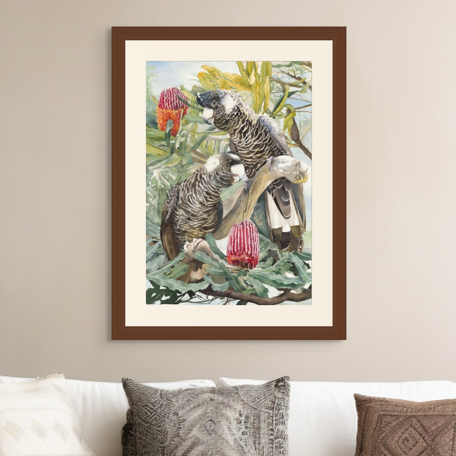 Serenade in the Banksia - Fine Art Print