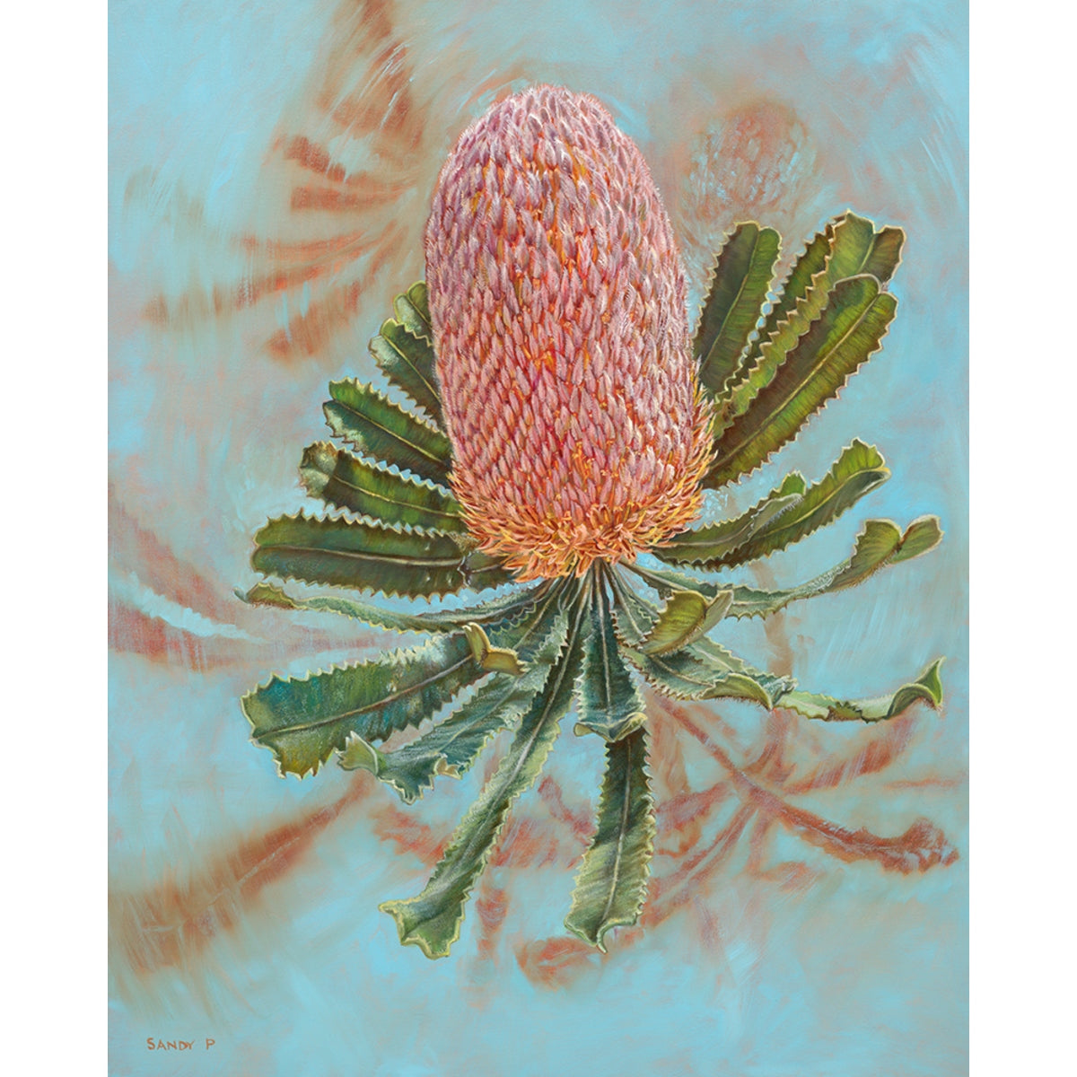 Banksia Frost - Fine Art Print