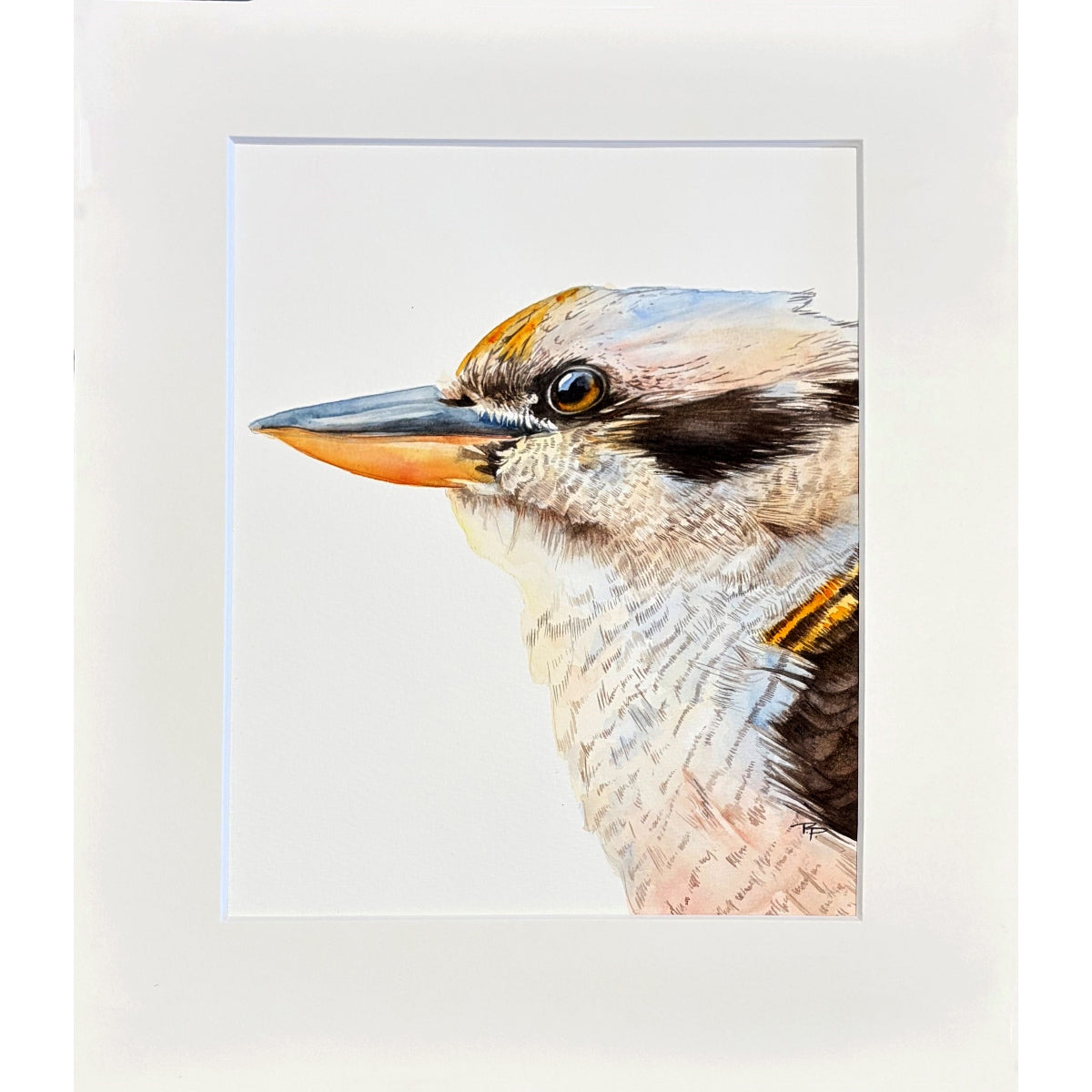 Merry, Merry King - Kookaburra Portrait