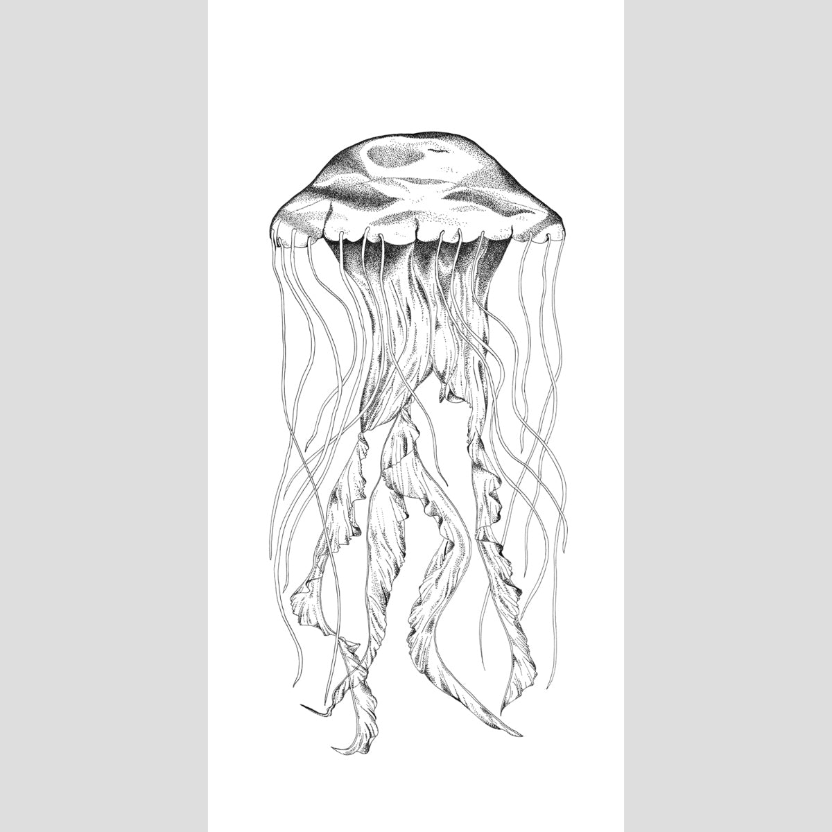 The Jellyfish - Fine Art Print