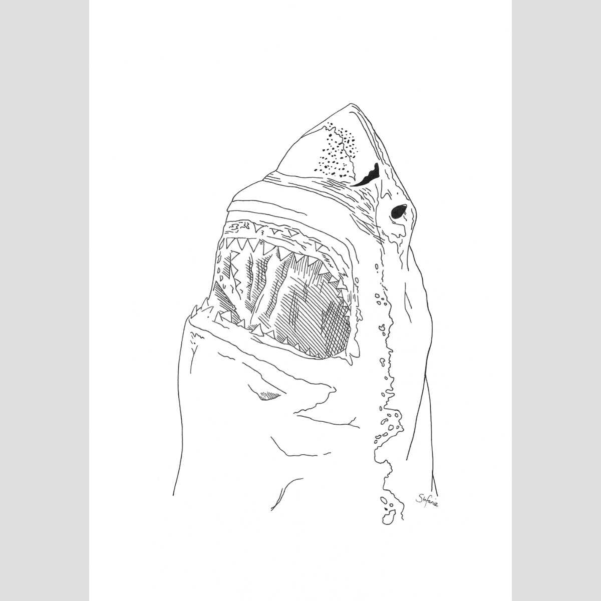 The Great White Shark - Fine Art Print