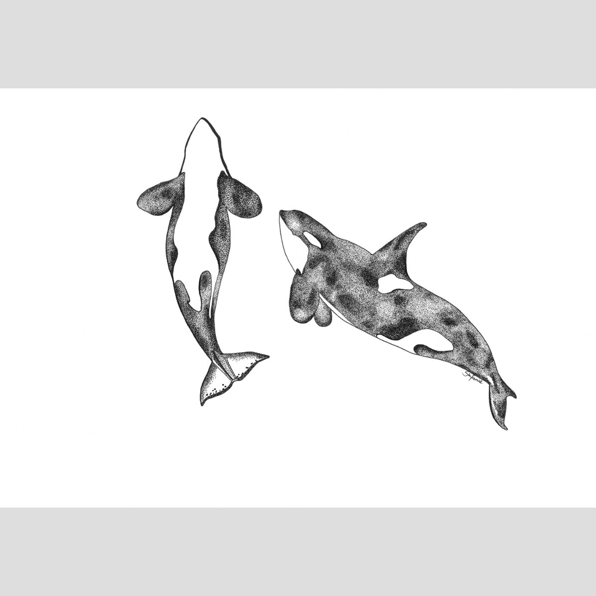 The Orcas - Fine Art Print