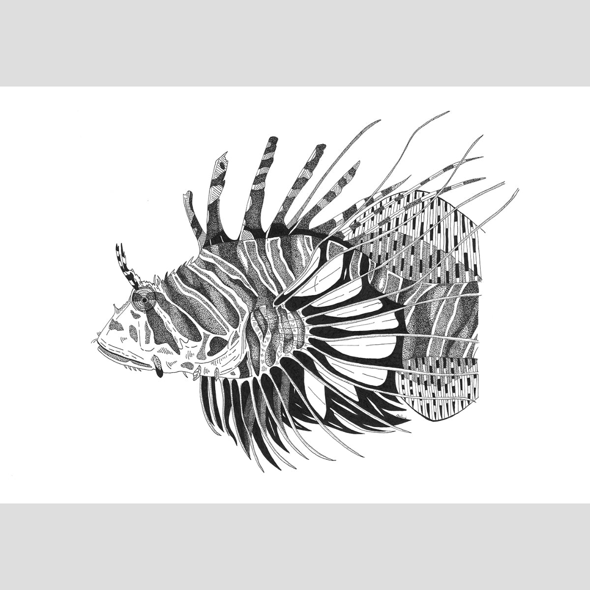 The Lionfish - Fine Art Print
