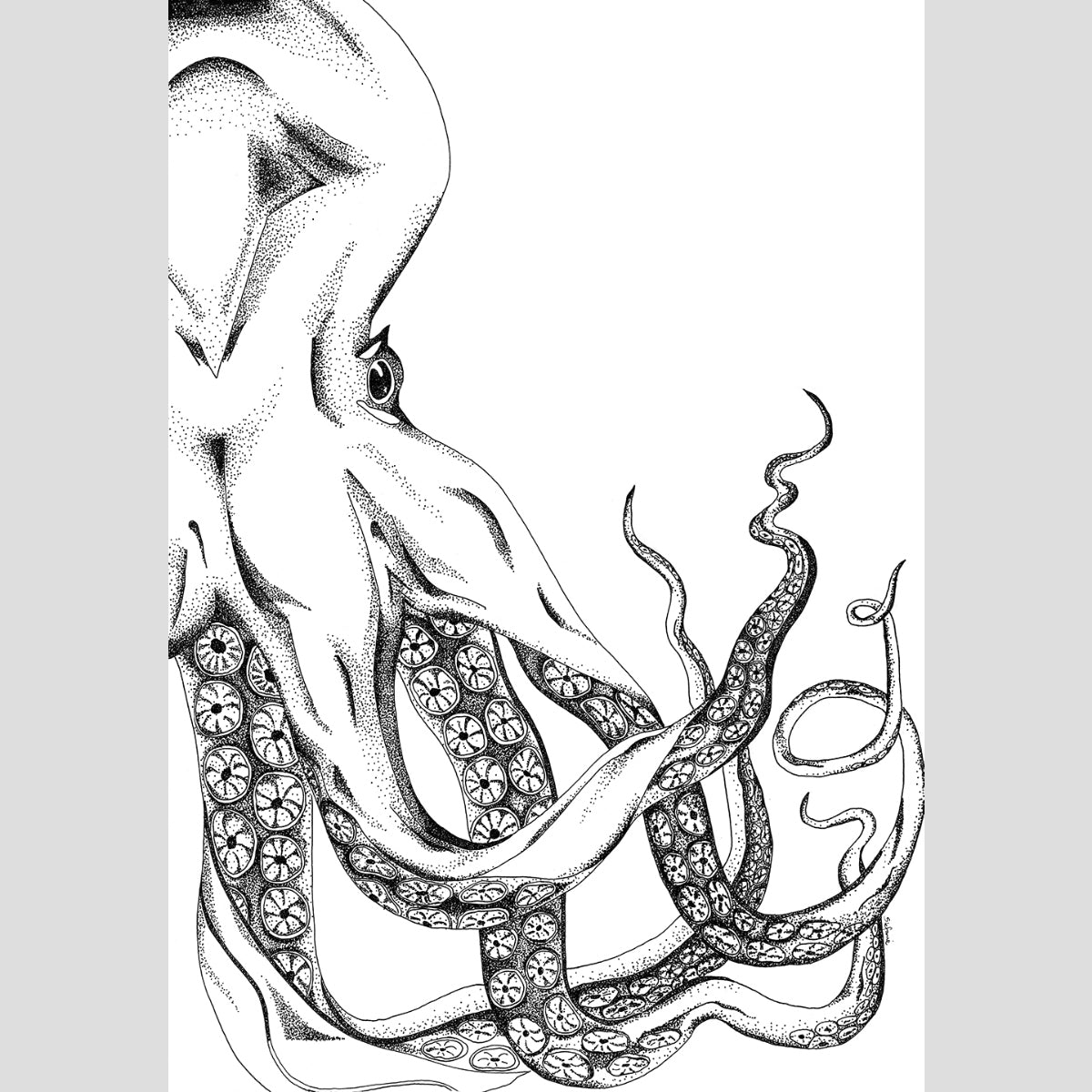 The Octopus - Fine Art Print