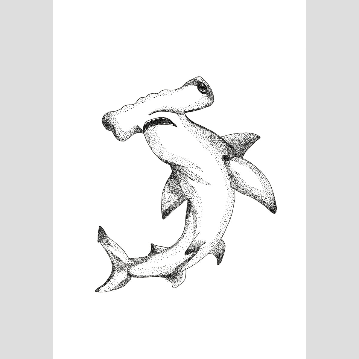The Hammerhead - Fine Art Print