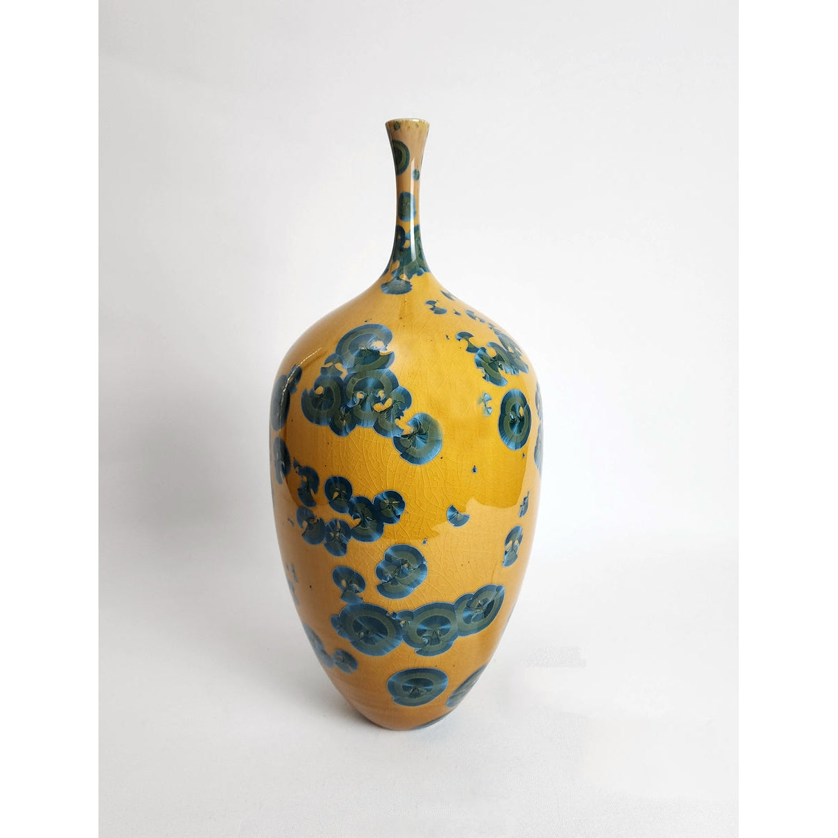 Andrew Tremain Amberjack