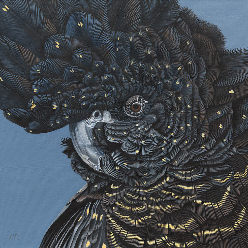 Anne-Marie Bloor Sheila Black Cockatoo Fine Art Print