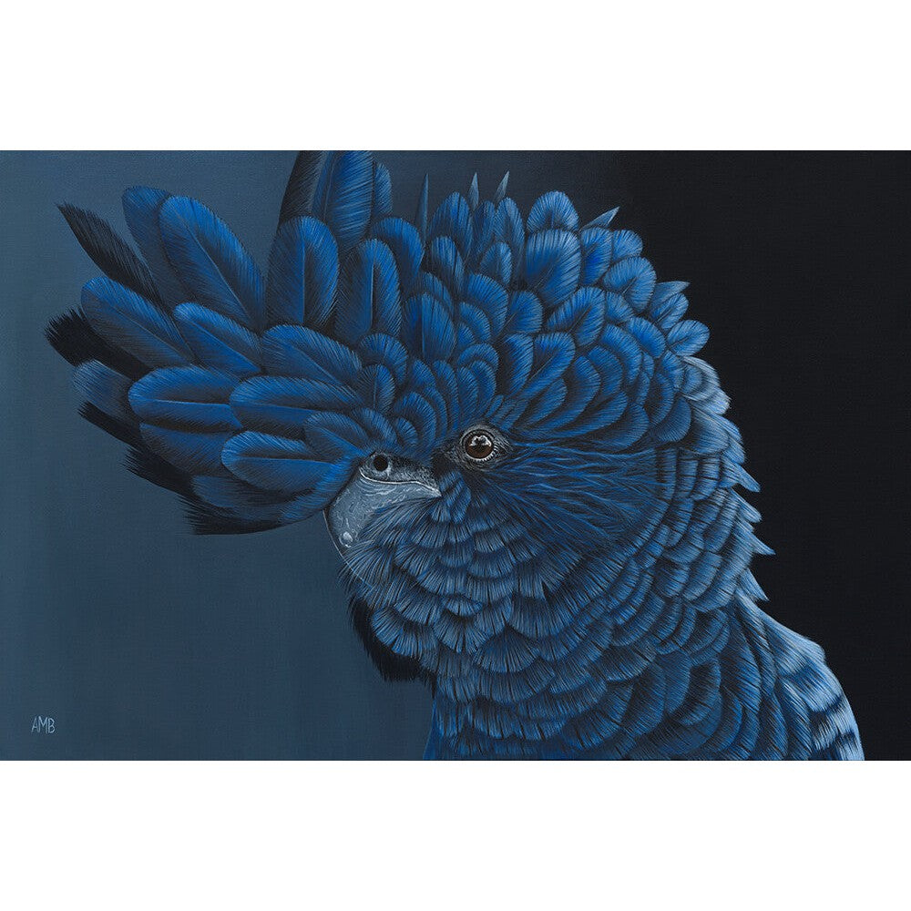 Anne-Marie Bloor Charles Black Cockatoo Fine Art Print