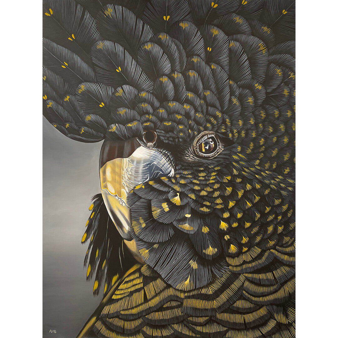 Anne-Marie Bloor Goldie Black Cockatoo Fine Art Print