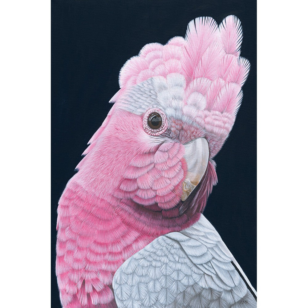 Anne-Marie Bloor Rod Galah Fine Art Print