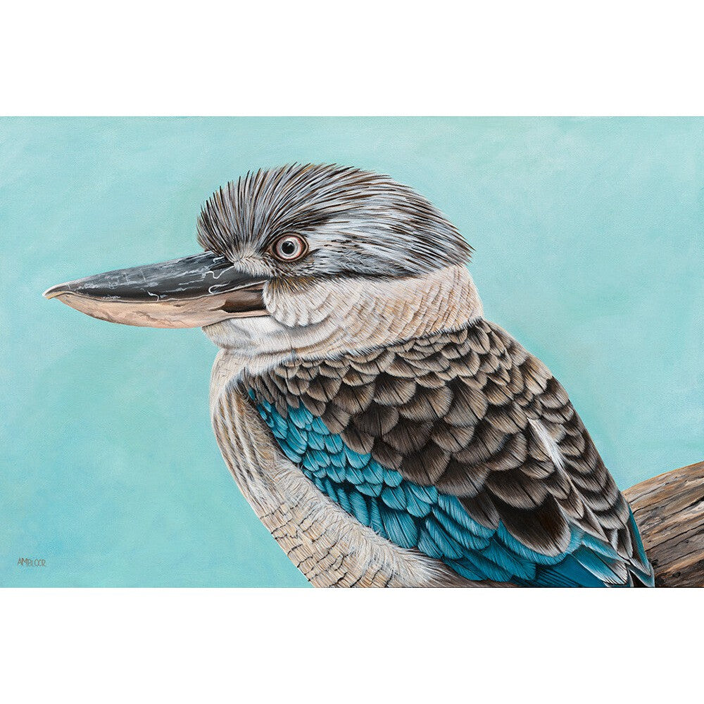 Anne-Marie Bloor Kevin the Kookaburra Fine Art Print