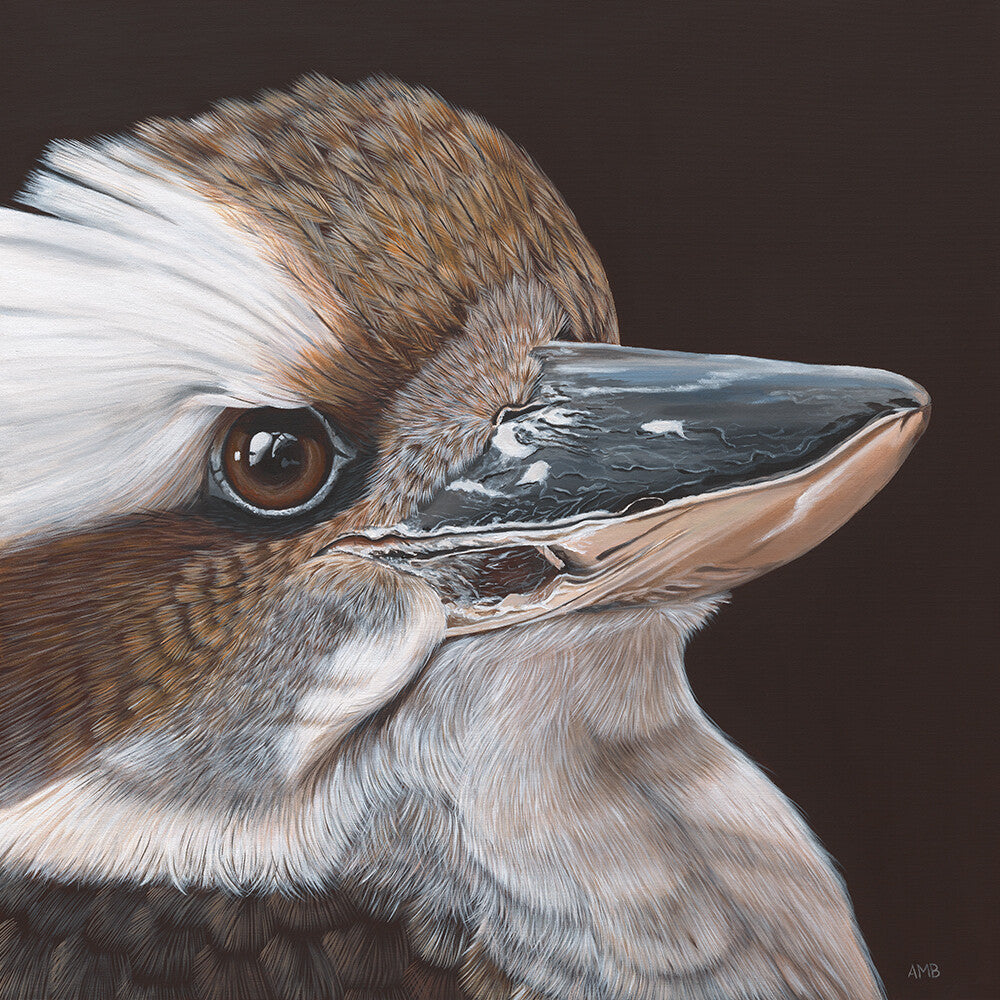 Anne-Marie Bloor Zac Kookaburra Fine Art Print