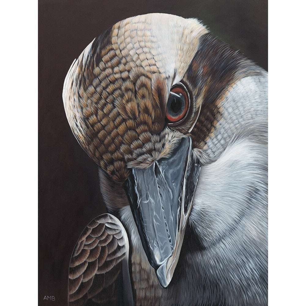 Anne-Marie Bloor Bruce Kookaburra Fine Art Print