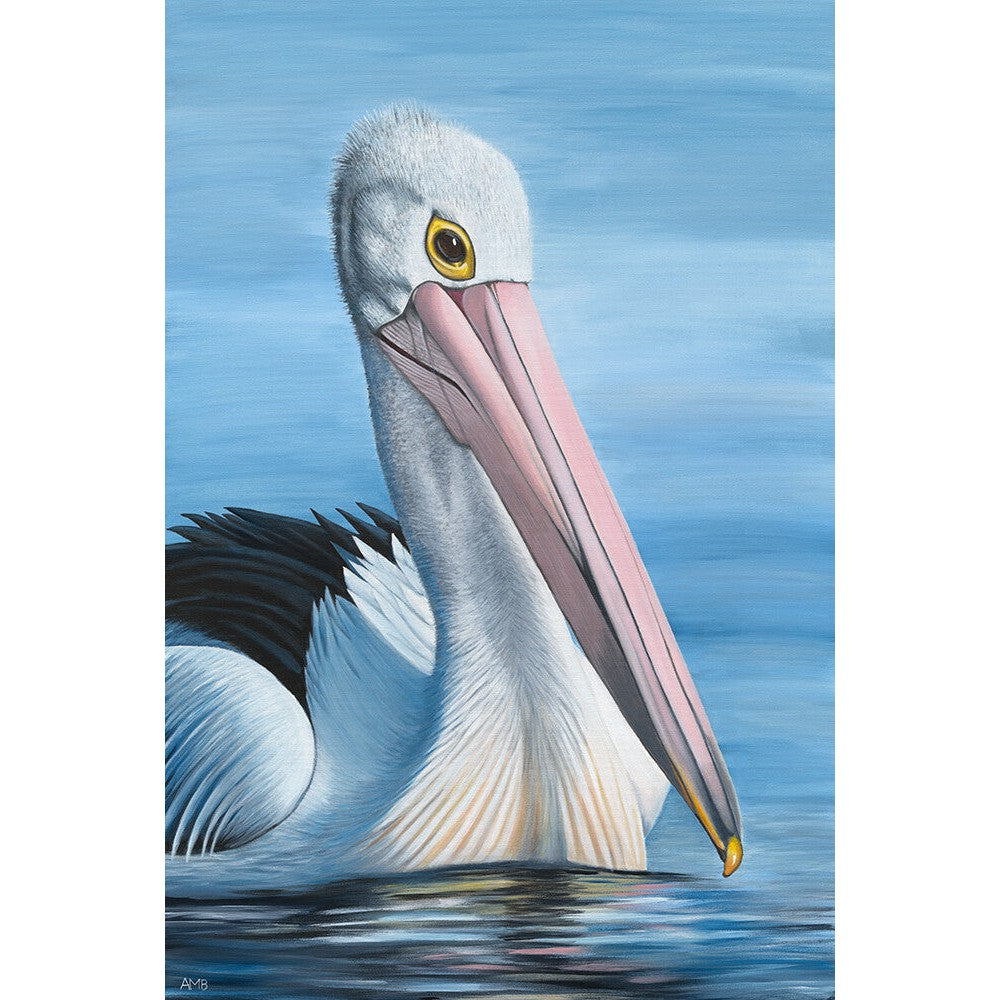 Anne-Marie Bloor Alan - Australian Pelican Fine Art Print
