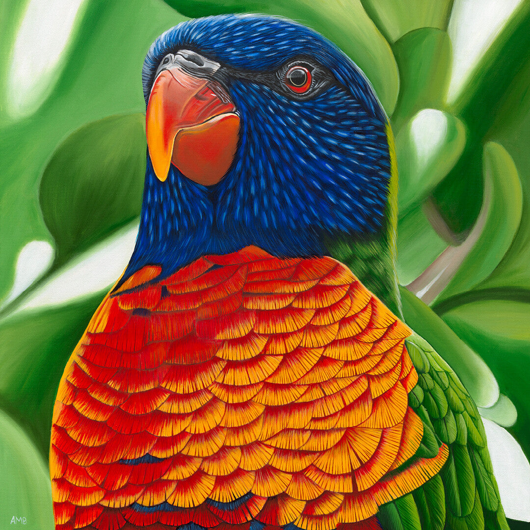 Anne-Marie Bloor Larry - Lorikeet Fine Art Print