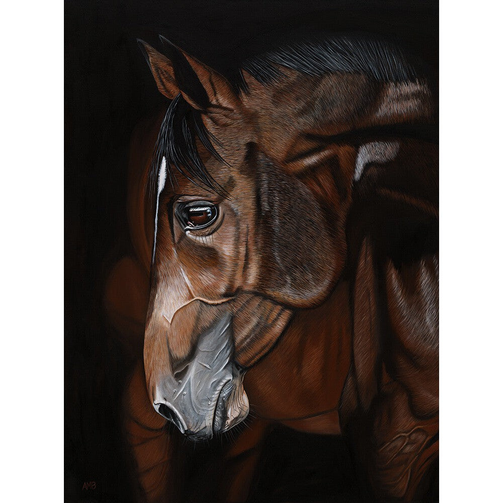 Anne-Marie Bloor James Anthony Horse Portrait Fine Art Print