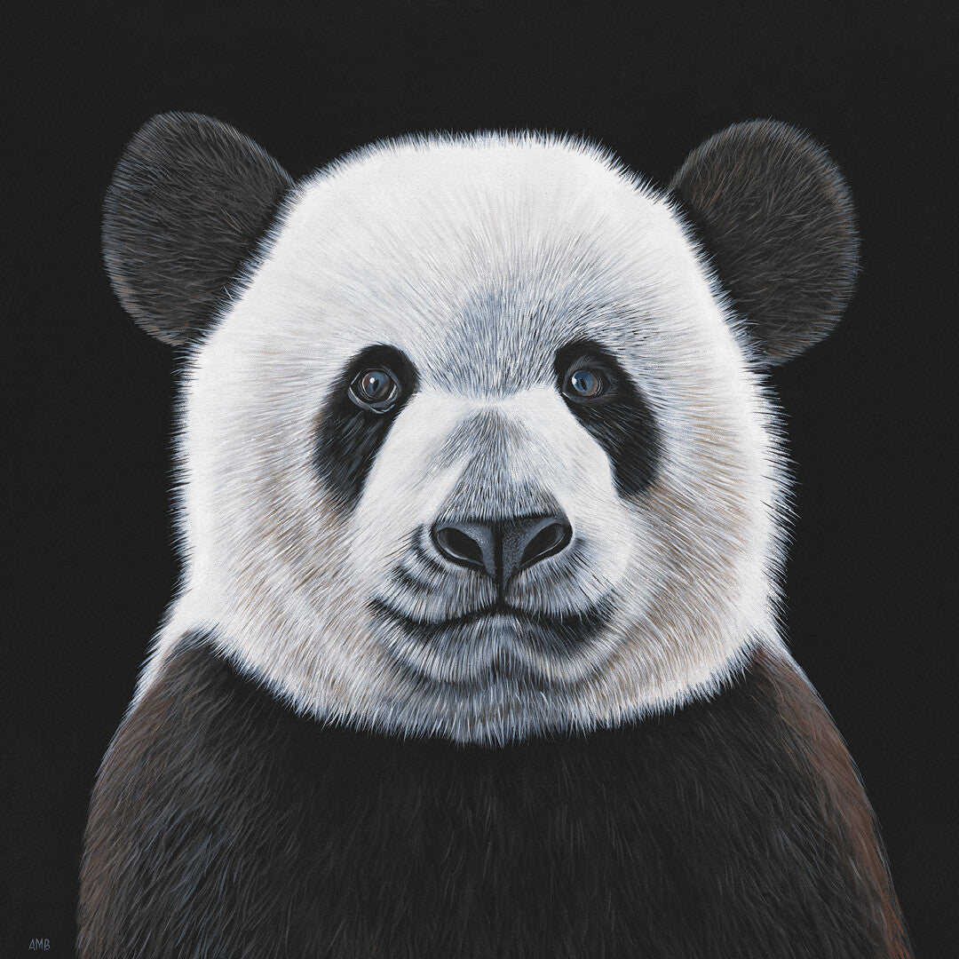 Anne-Marie Bloor Bamboo - Giant Panda Fine Art Print