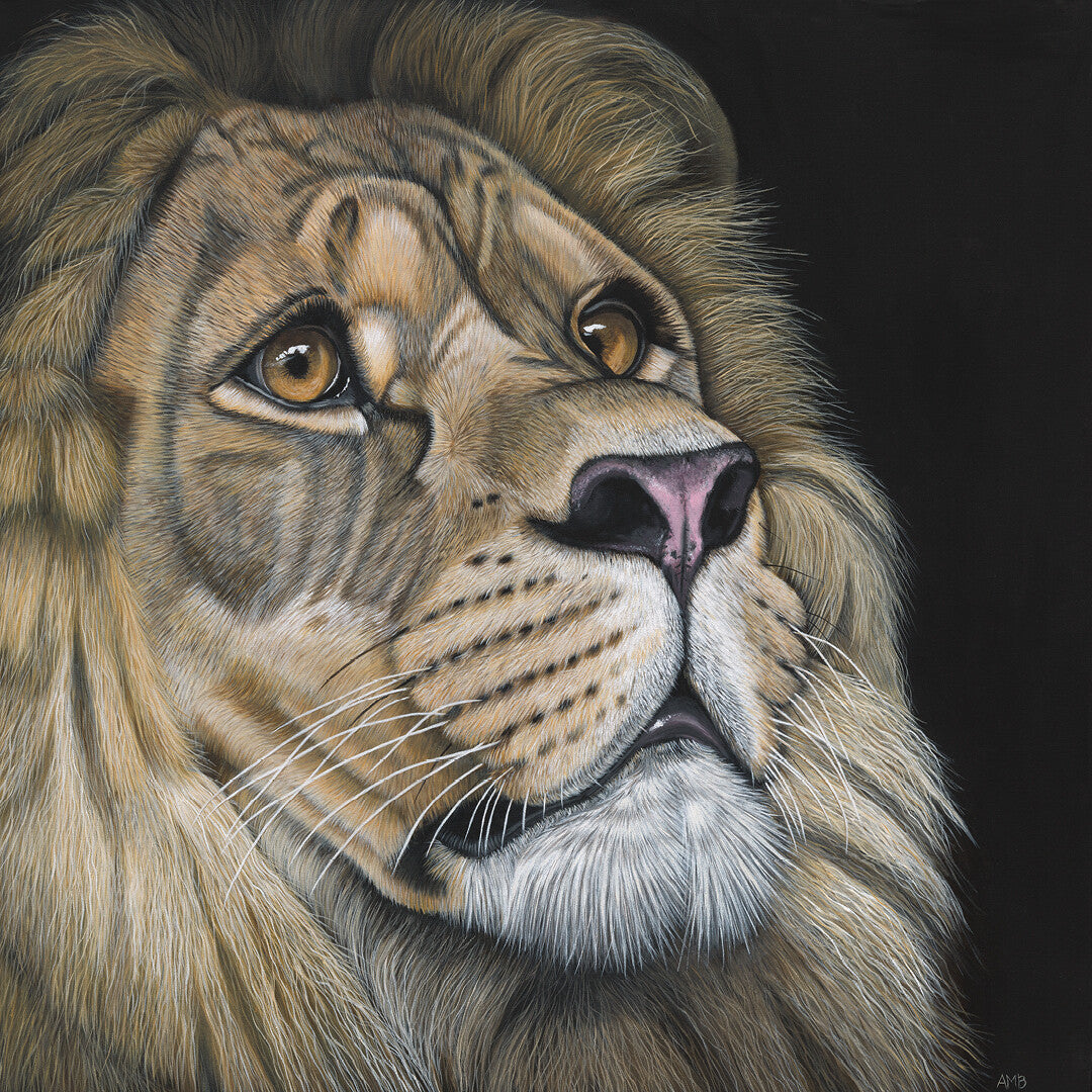 Anne-Marie Bloor Hope - Lion Fine Art Print