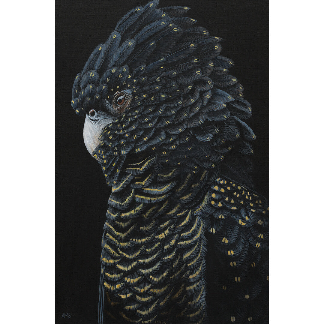 Anne-Marie Bloor Darlene Black Cockatoo Fine Art Print