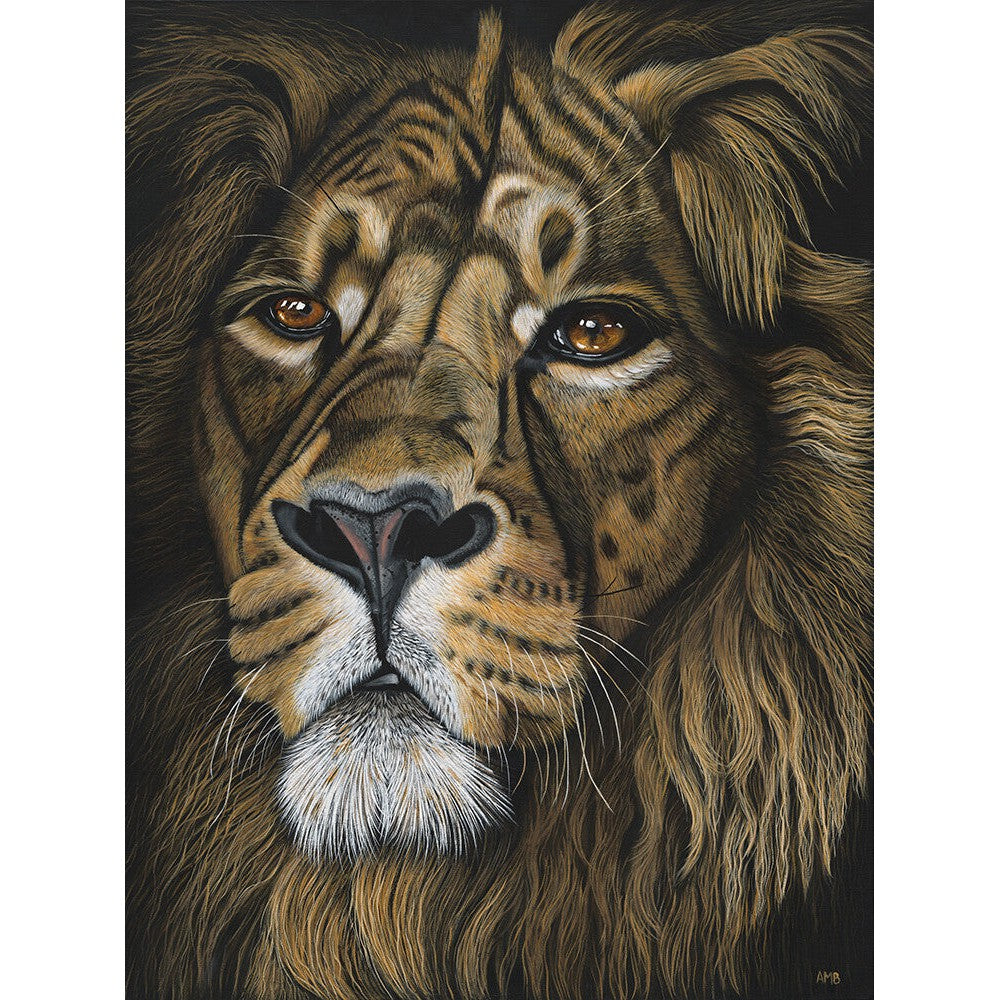 Anne-Marie Bloor Midnight - Lion Fine Art Print