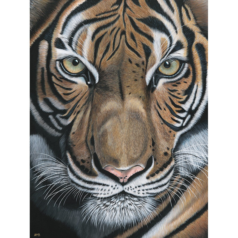 Anne-Marie Bloor Abhiru Tiger Fine Art Print