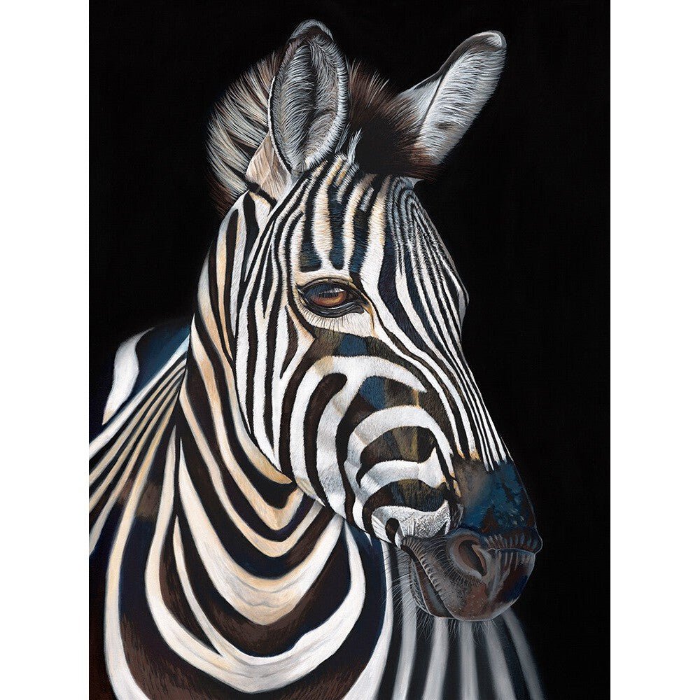 Anne-Marie Bloor Stripes - Zebra Fine Art Print
