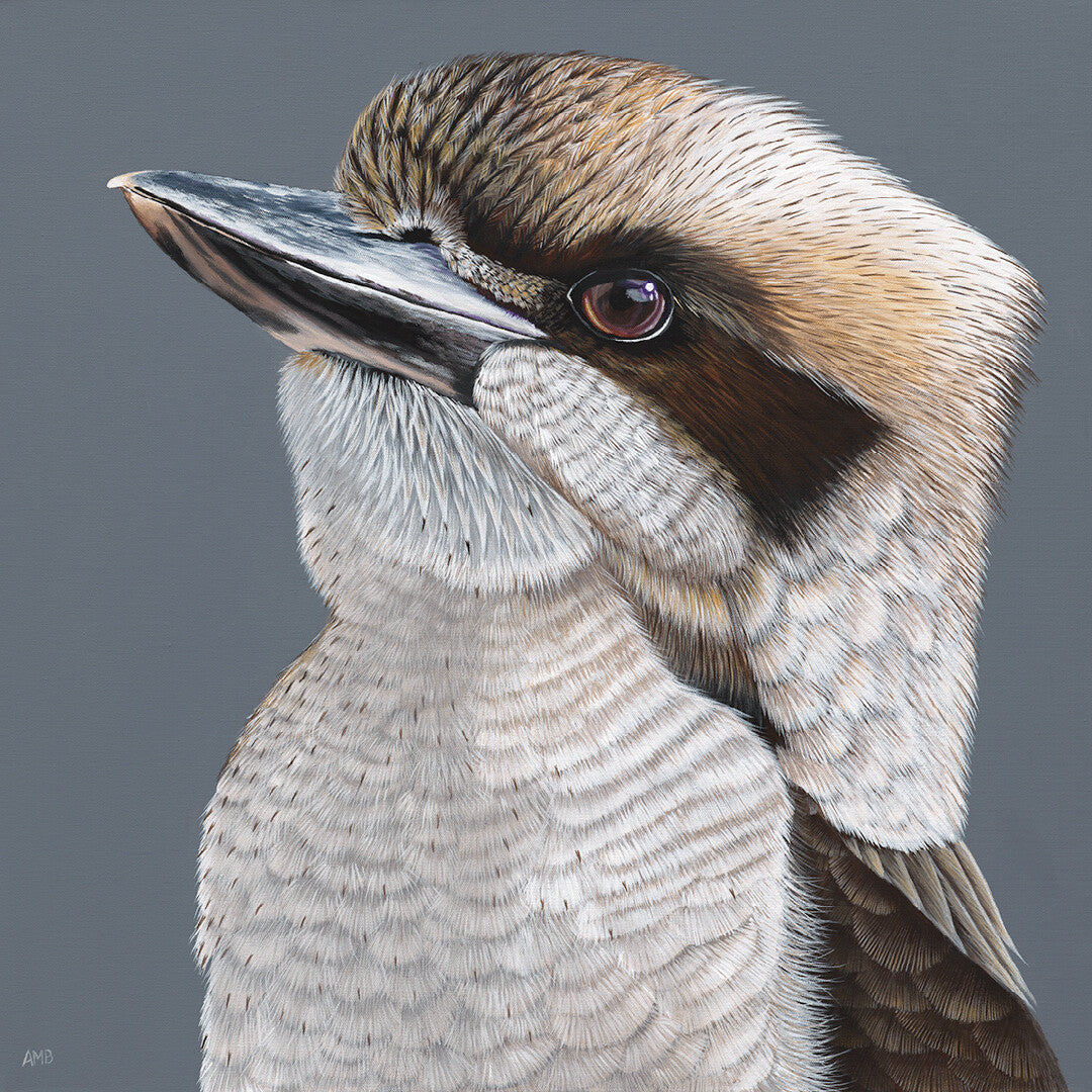 Anne-Marie Bloor Billy Kookaburra Painting Fine Art Print