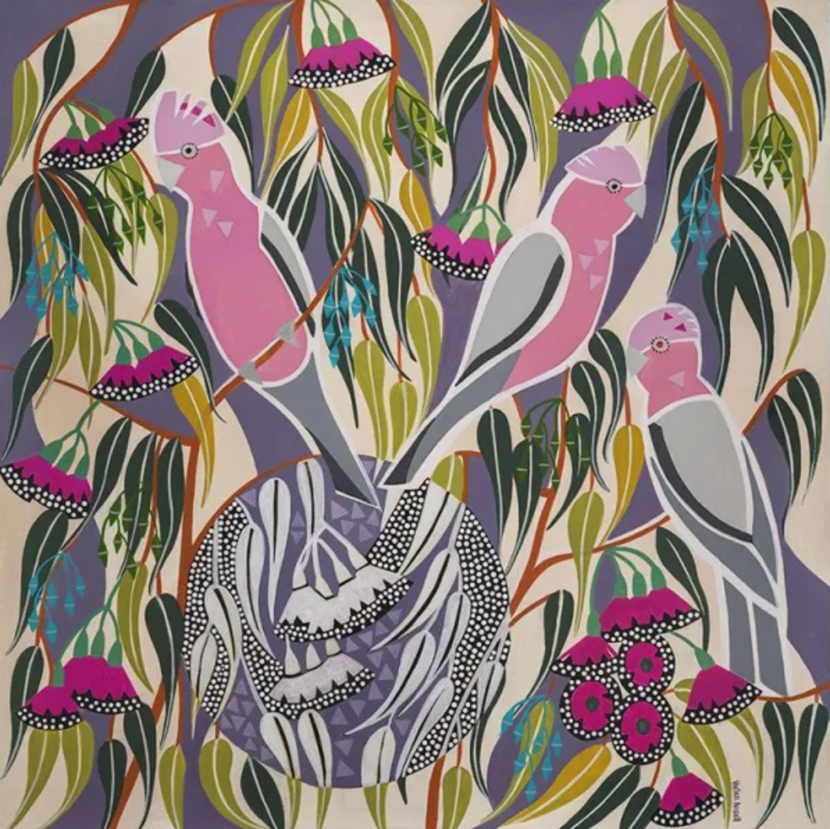 Pink and Grey Galahs