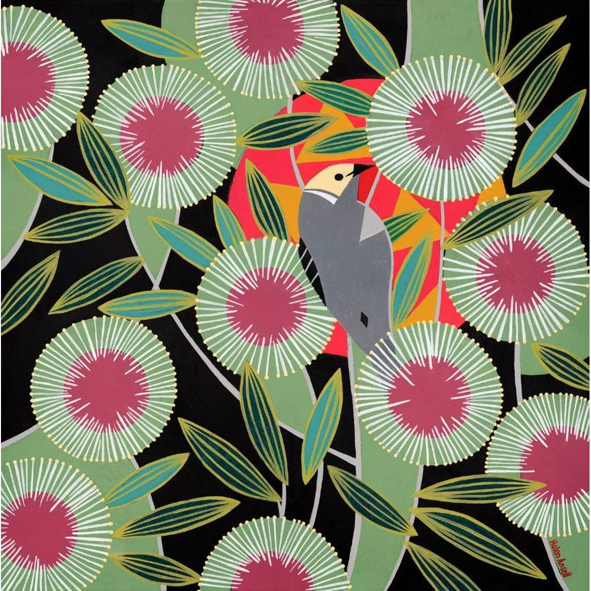 Pincushion Hakea - Paper Print