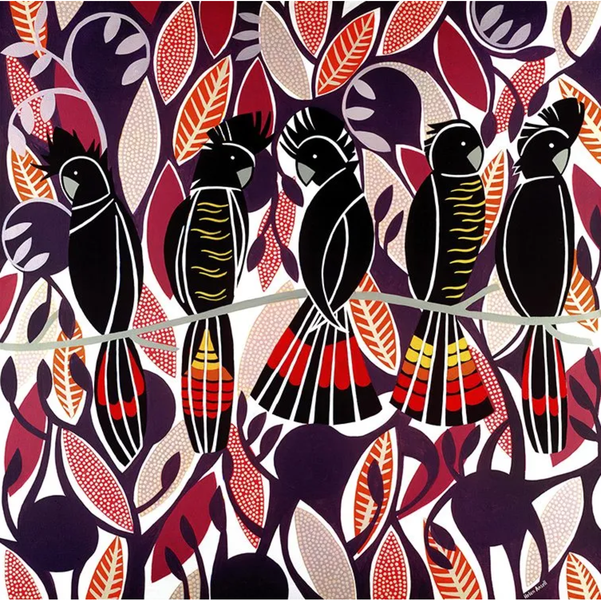 Red Tailed Cockatoos