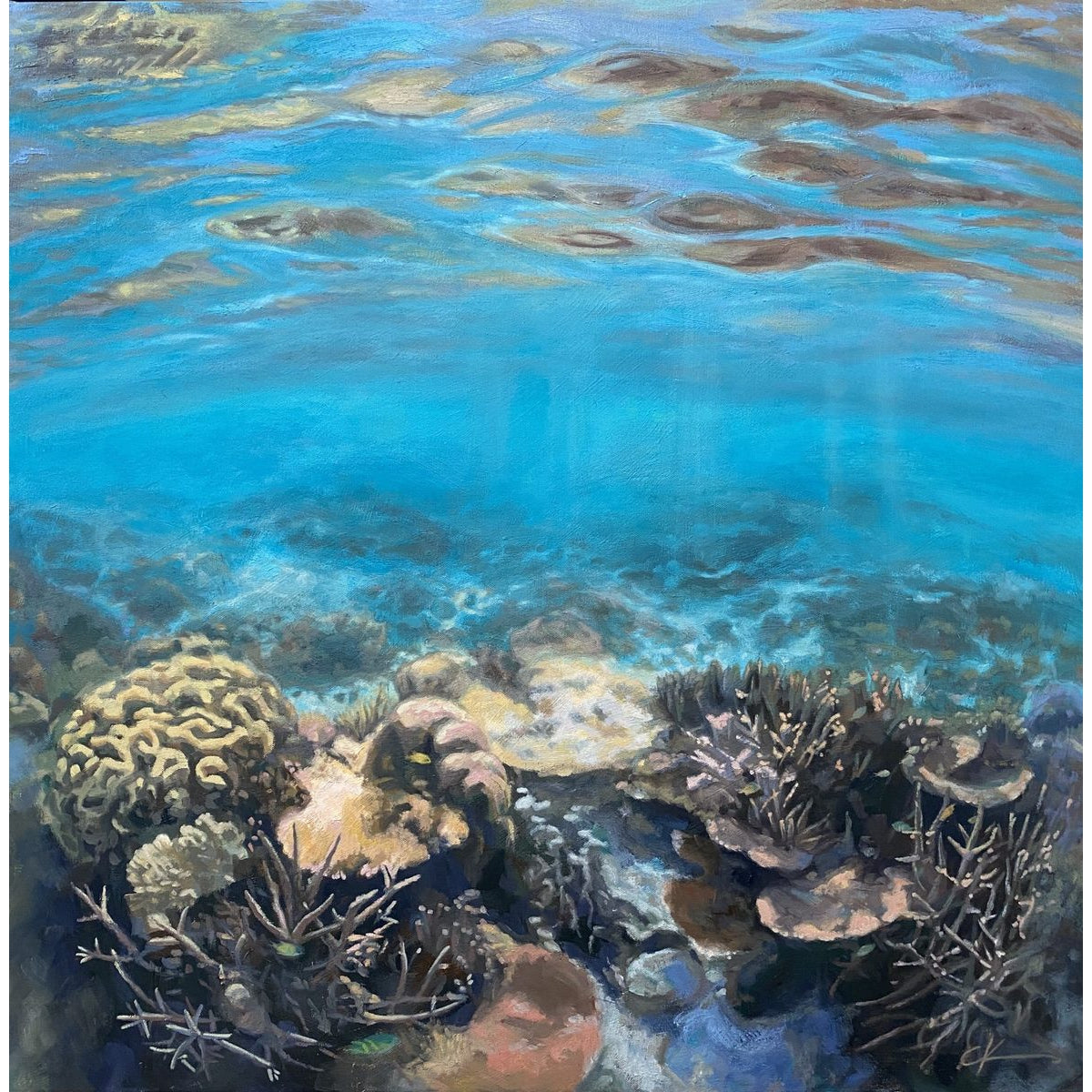 Sunlight Bathed the Golden Glow