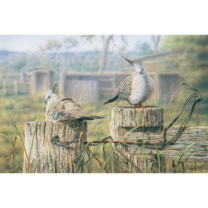 Down On The Farm - Fine Art Print