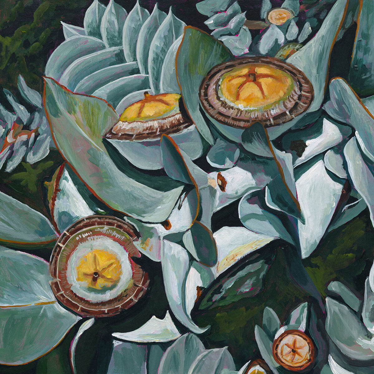 Mottlecah After Flower - Paper Print