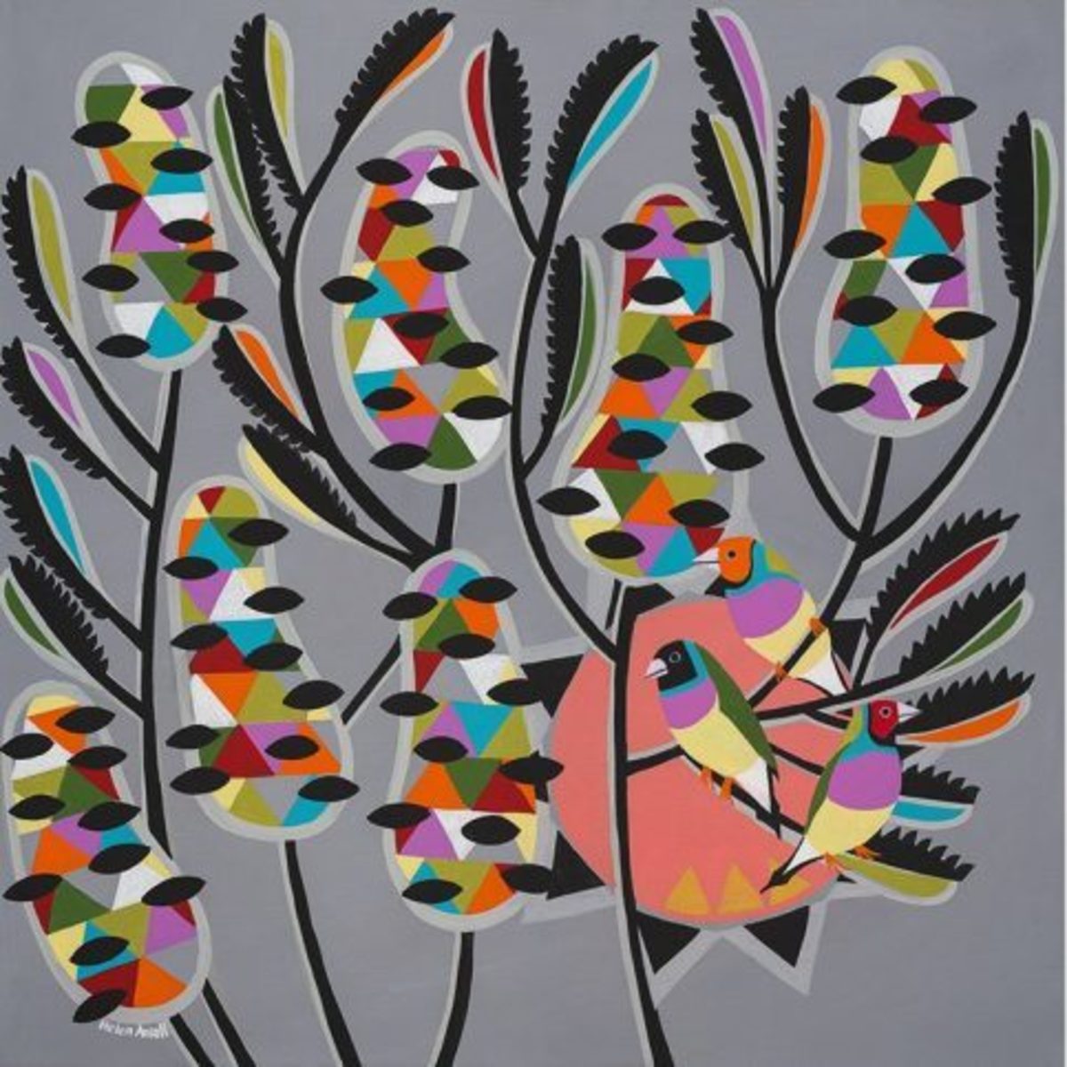 Colours Of Gouldian Finch - Paper Print